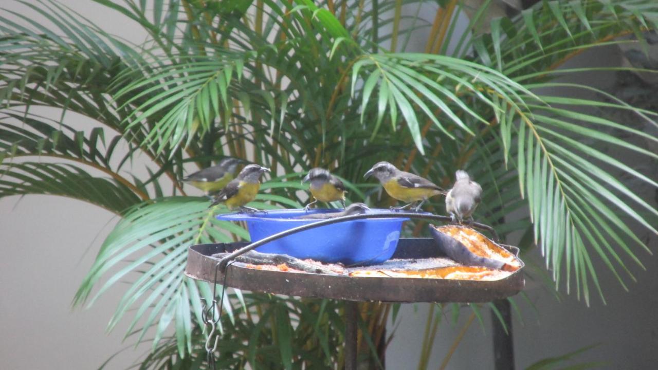 كالي 50N15 B&B المظهر الخارجي الصورة